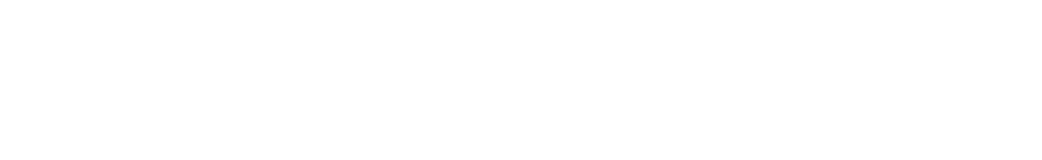 Raykom.Network